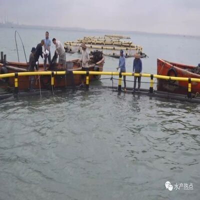 Full-Set HDPE Fish Cage | 7-Day Fast Installation | Immediate Production