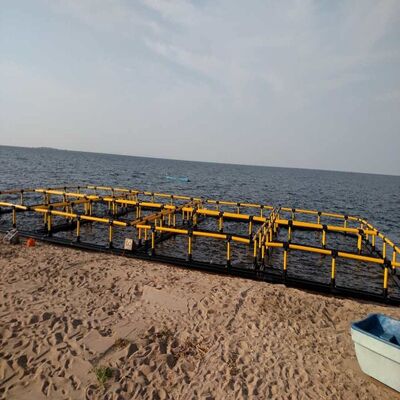 Live Fish Holding & Grading Cages | Pre-Sale Storage / Size Sorting / Quarantine | Flexible & Efficient