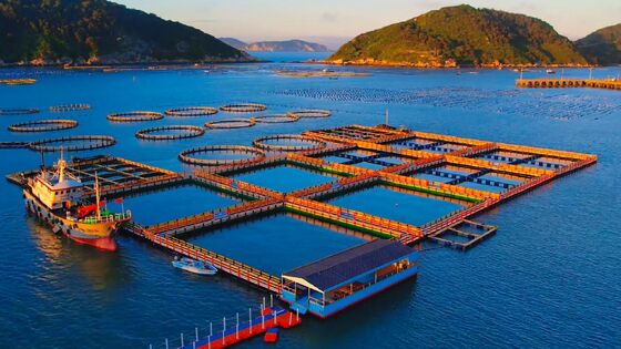 Two‑in‑One HDPE Fish Cage: Aquaculture + Recreational Fishing