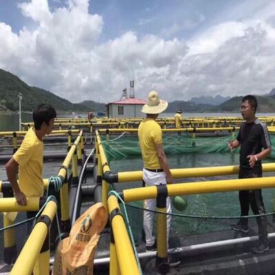 Simplified Small‑Scale Commercial Aquaculture Fish Cage