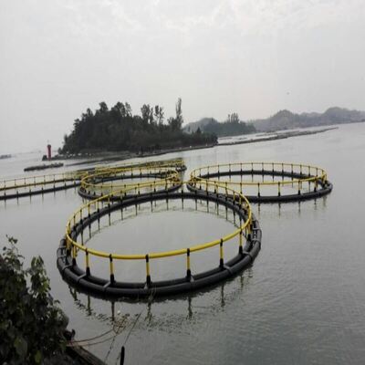 High Wind-Resistant Circular Fish Cage for River Mainstream Breeding