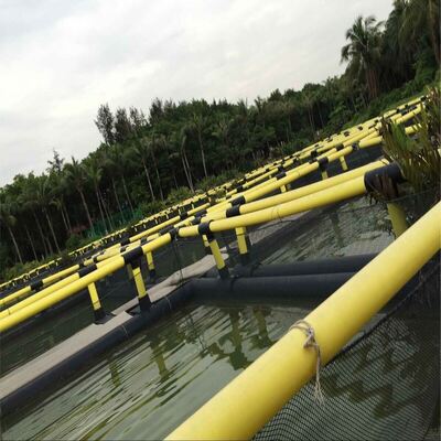 Modular Combinable Fish Raft for Small-Scale Aquaculture Beginners