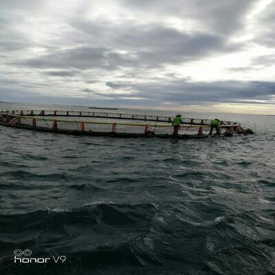 80m Circumference HDPE Circular Fish Cage for Marine Fish & Shrimp Farming
