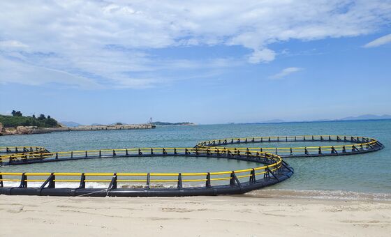 From Premium HDPE Fish Cage to Premium Market Price: Boost Your Ghana Fish Farm