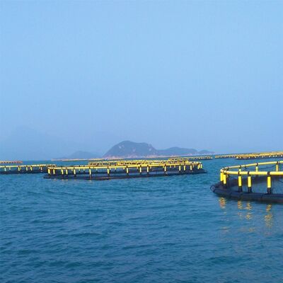 Round HDPE Anti-wave Offshore Fish Cage