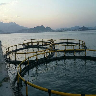 High-strength Impact-resistant Deep Sea Fish Cage
