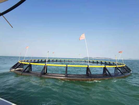 Boost Your Aquaculture Yield: HDPE Fish Cage With Significant Production Growth