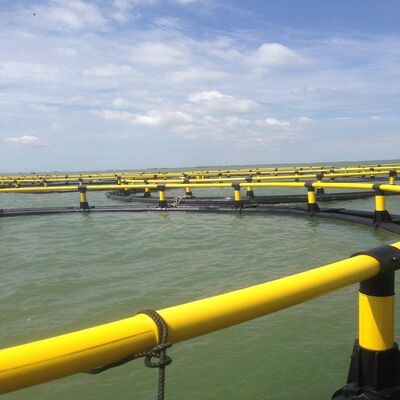 High Strength Welded HDPE Fish Cage Anti-current Anti-deformation Marine Cage