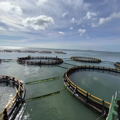 Grade 12+ Typhoon Resistant Circular HDPE Deep‑Sea Fish Cage, 15+ Years Service Life