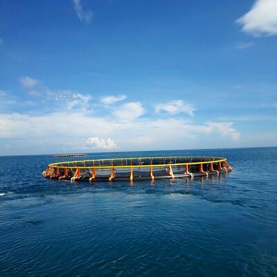 High‑Strength Deep Water Aquaculture Fish Cage Anti‑UV PE Floating Cage